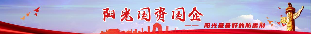 陽光國資國企
